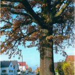 Baar-Ebenhausen